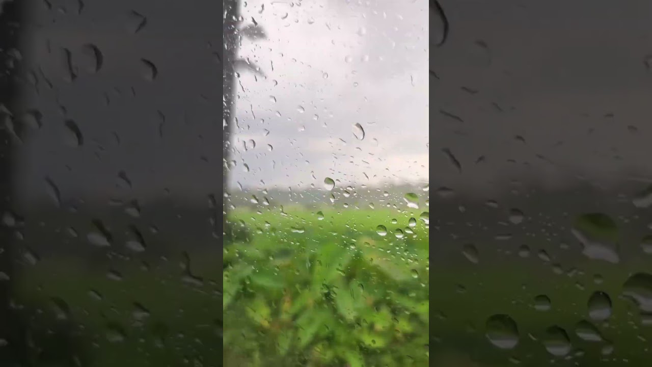 rainy raid kannur #nature #rainy #cold