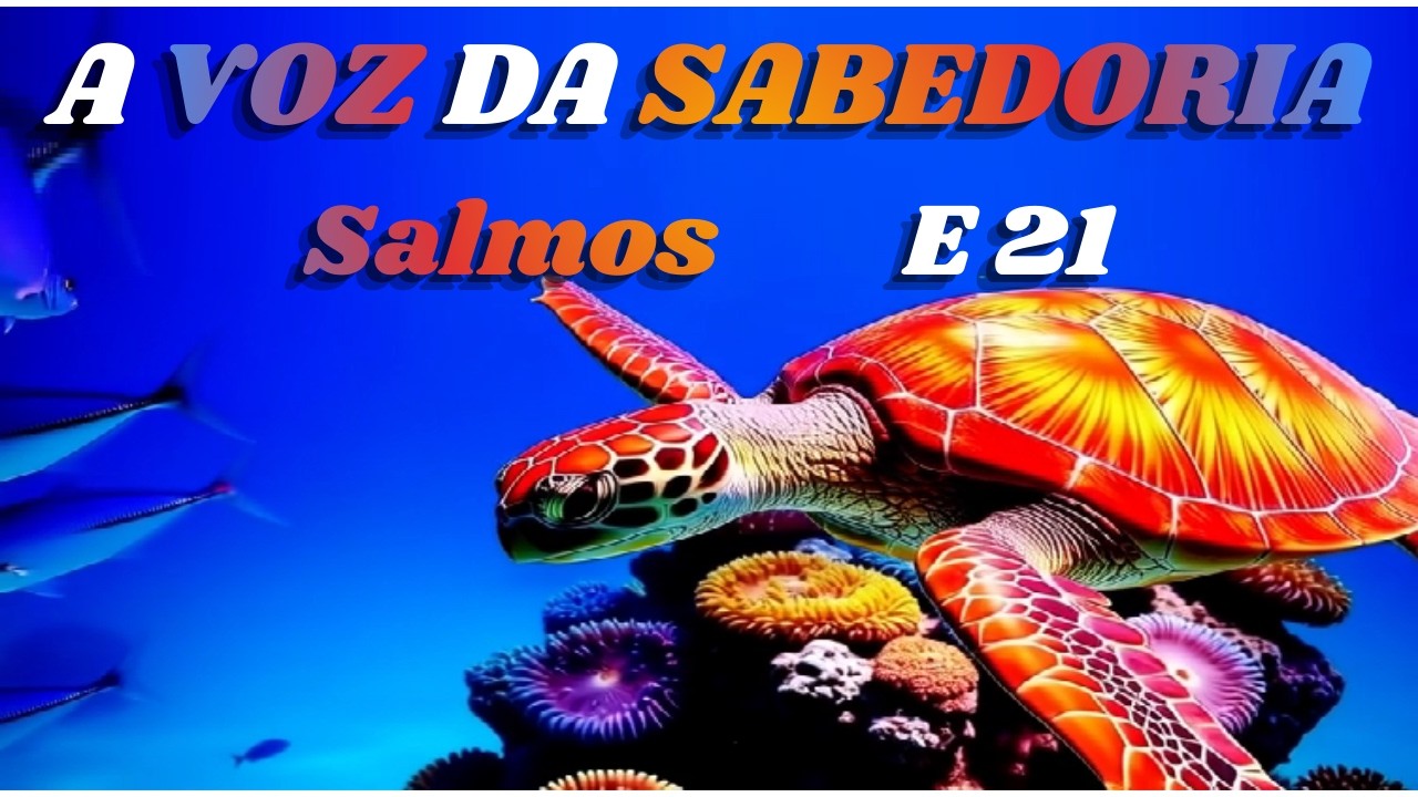 Caminhos Guiados Pela Fidelidade de Deus - Salmos 25:5 e 25:10
