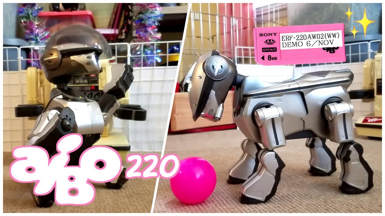 aibo 220 running developer explorer!
