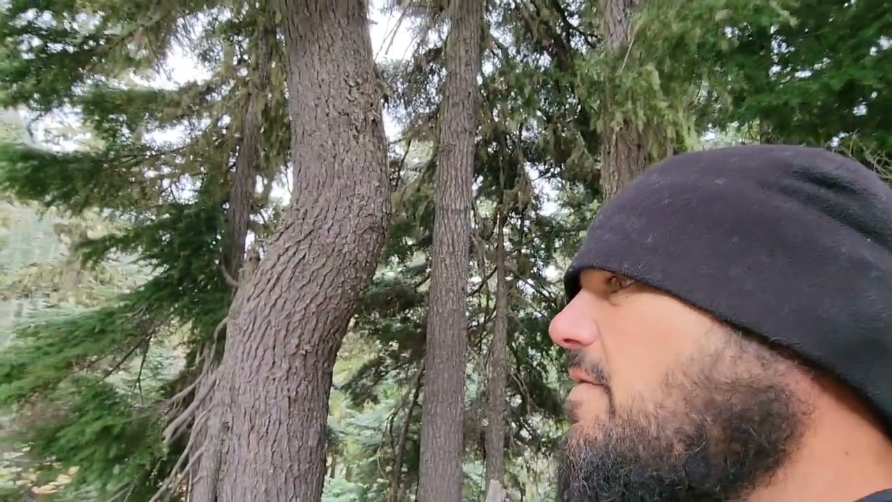 The Pacific Northwest Trail #16
