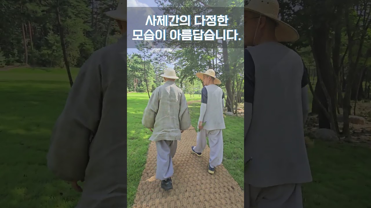 퇴우 정념 큰스님! 명품 숲을 만들다.ㅣ2025.8.22.(금) #아리야숲 #오대산자연명상마을 #퇴우정념스님 #해조스님 #자연명상 #힐링스테이옴뷔 #ForestofAriya