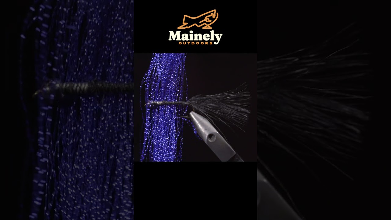 ONLY Streamer you NEED!