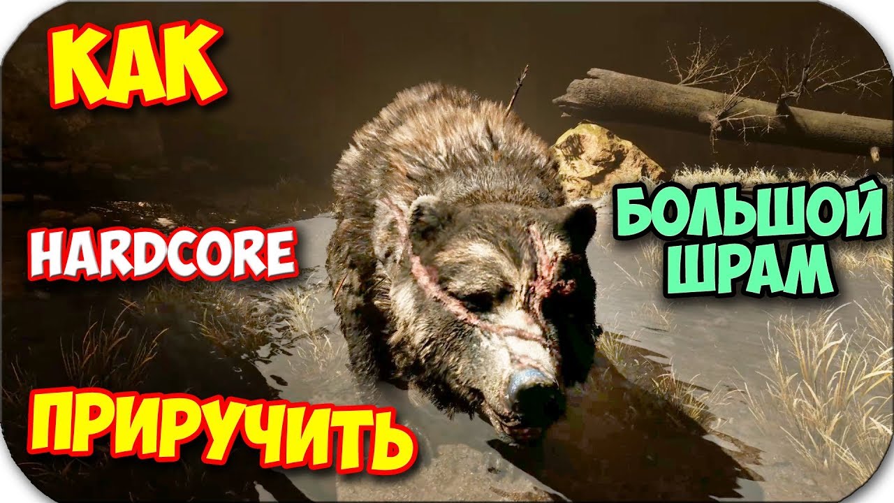 КАК ПРИРУЧИТЬ ТОП МЕДВЕДЯ БОЛЬШОЙ ШРАМ - Far Primal #36