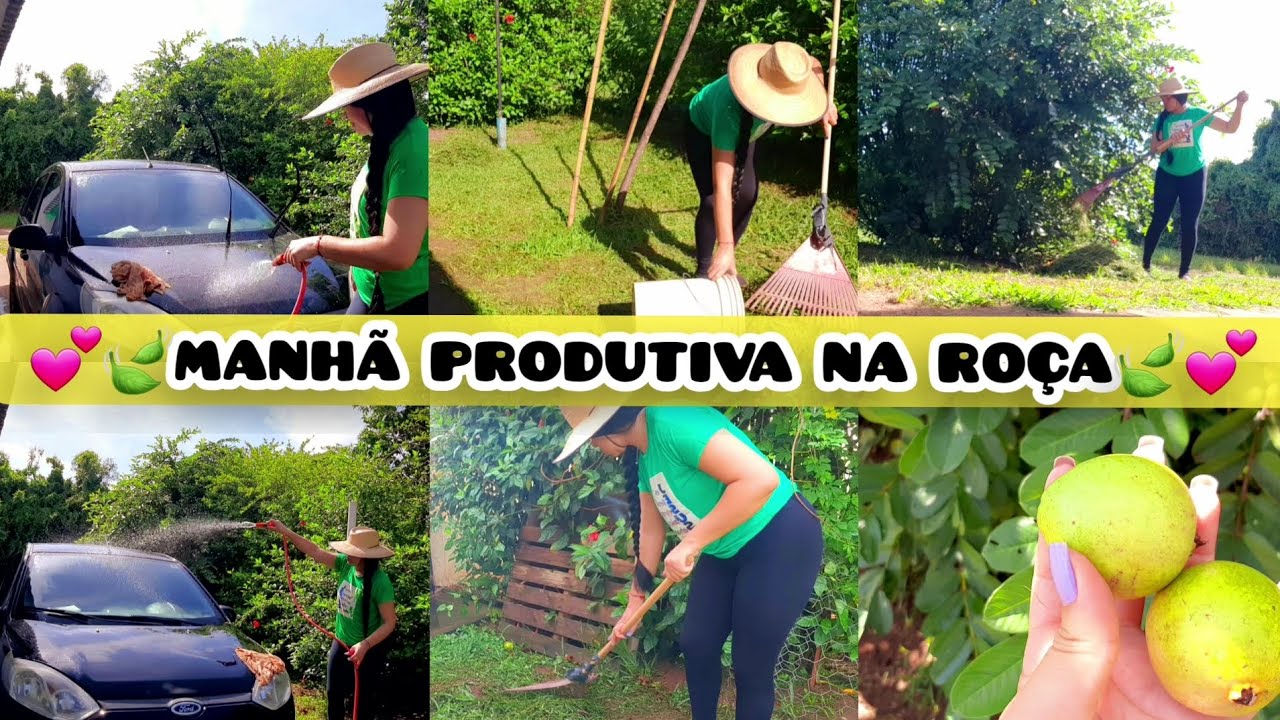 💕🍃DIA DE LIMPAR O QUINTAL AQUI NA #ROÇA | MINHA GOIABEIRA DANDO FRUTOS 😍+ LAVAGEM DO CARRO 🧼