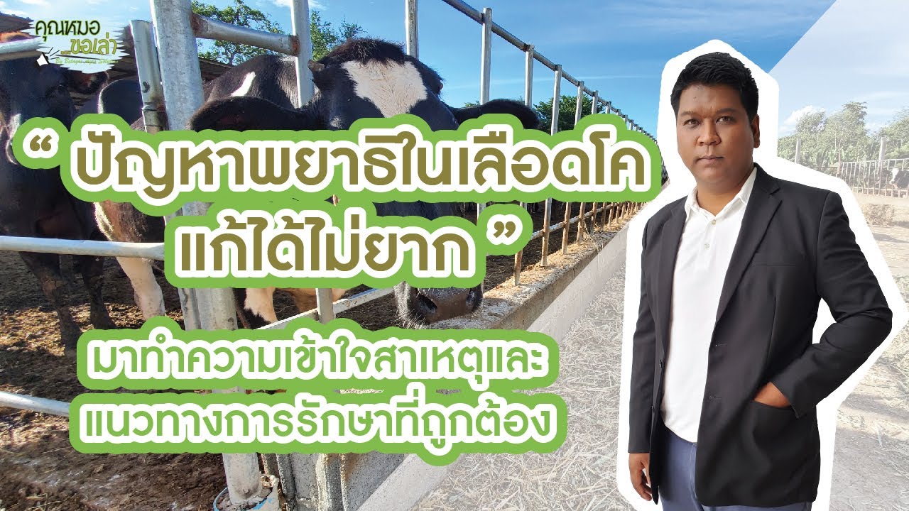 คุณหมอขอเล่า EP.17 ปัญหาพยาธิในเลือดโคแก้ได้ไม่ยาก
