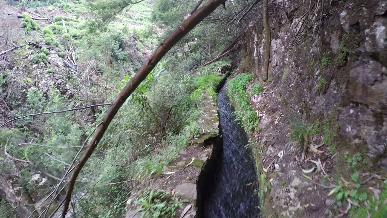 Levada Walks