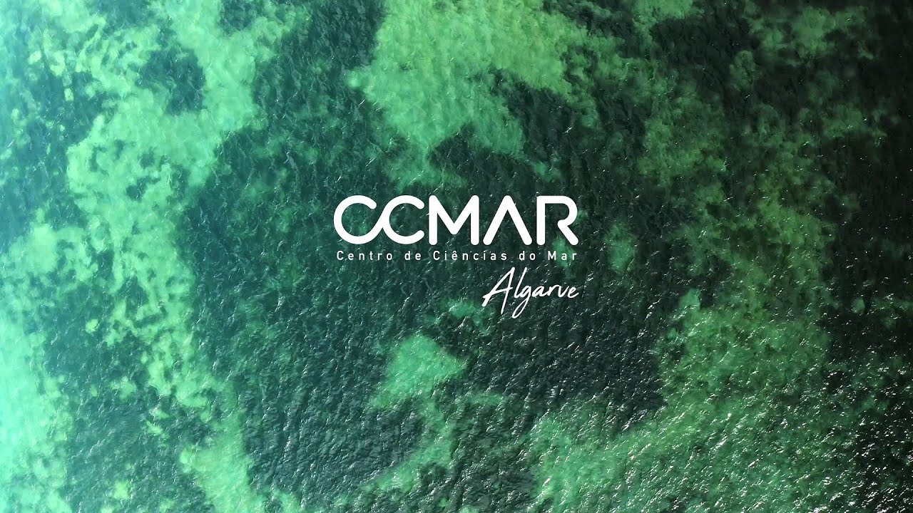 CCMAR Services | Promotional Video