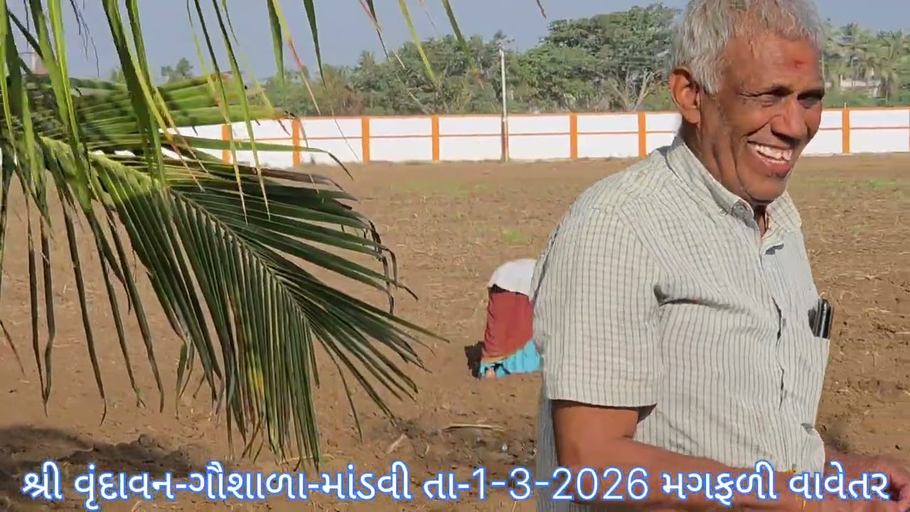 3 March 2026