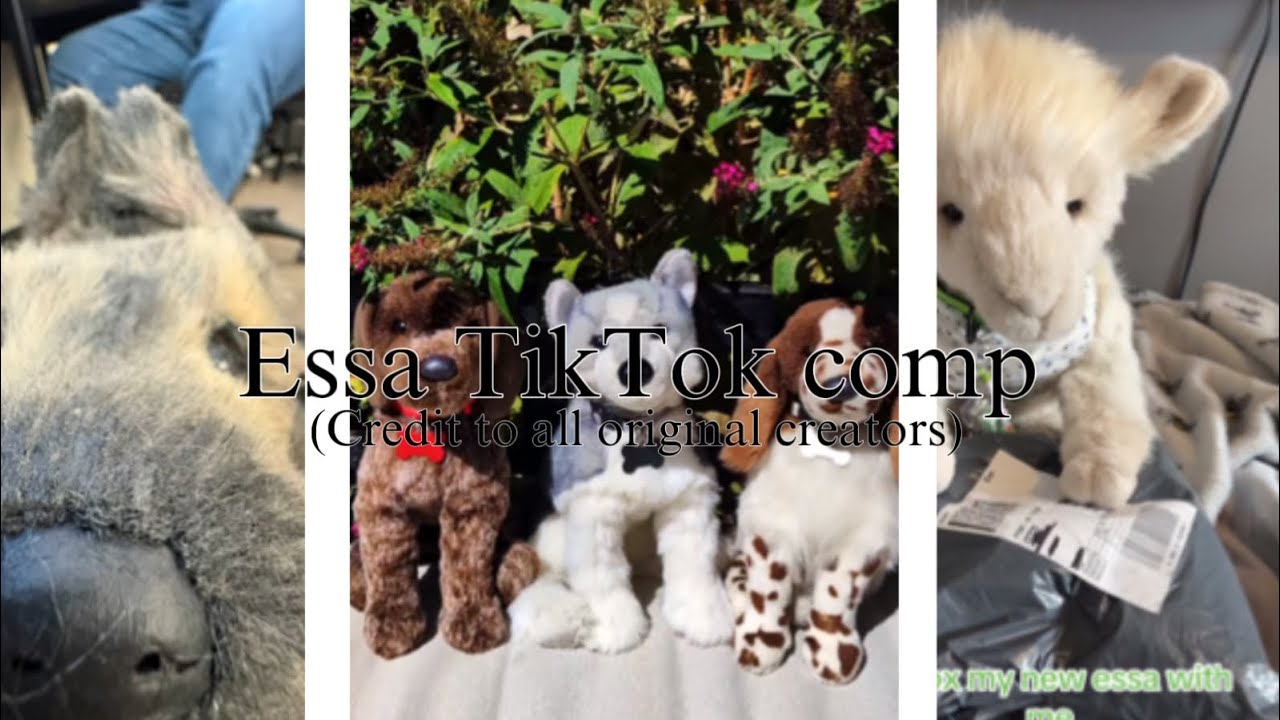 Essa TikTok comp (credit to all original creators) #essa 