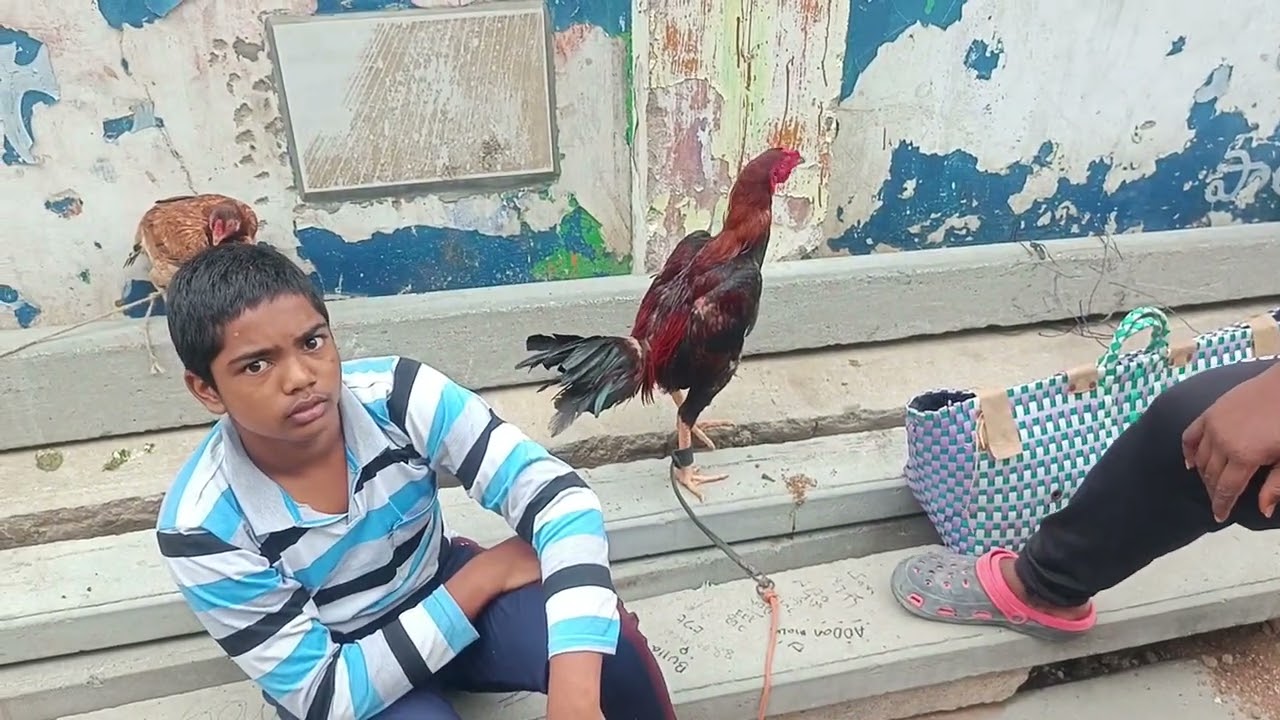 Erragadda sunday kolla market