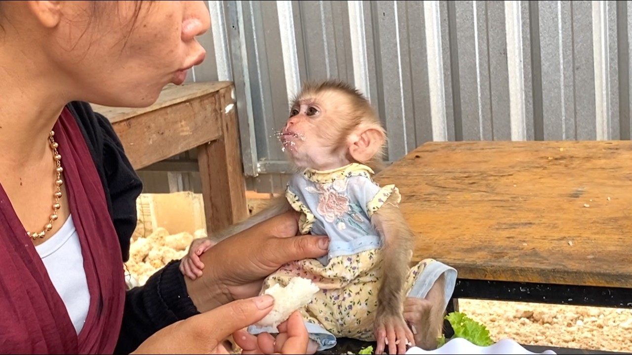 Deep love!! The adorable little LIORA is enjoying the food they sweetly made for each other