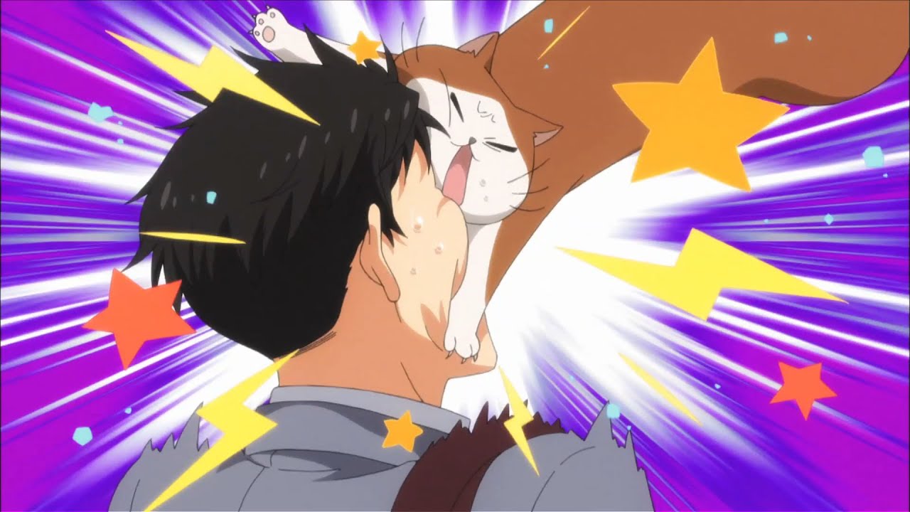 Lord of the Pounce (Parody Lord of the Dance) - Nightcore Amv