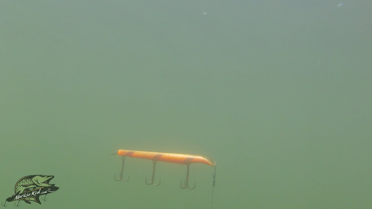 Muskie Fishing for Beginners - Part 3 of ?? - Jerkbaits