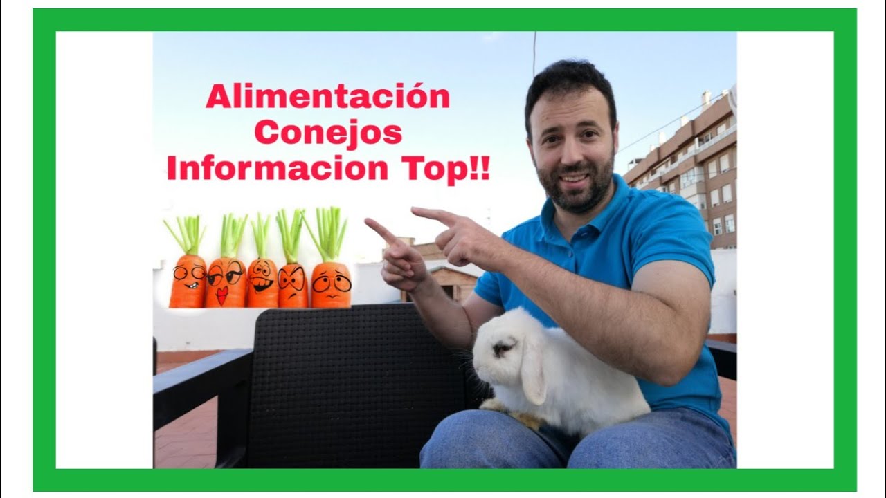 ALIMENTACION SALUDABLE para CONEJOS!!😍🐰Alimentación para conejos DOMÉSTICOS!☘️Conejos Alimentación