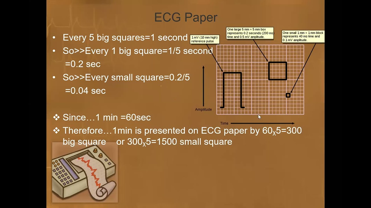 Echopedia lectures ( Basic ECG interpretation) by Dr Ahmed Fawzy