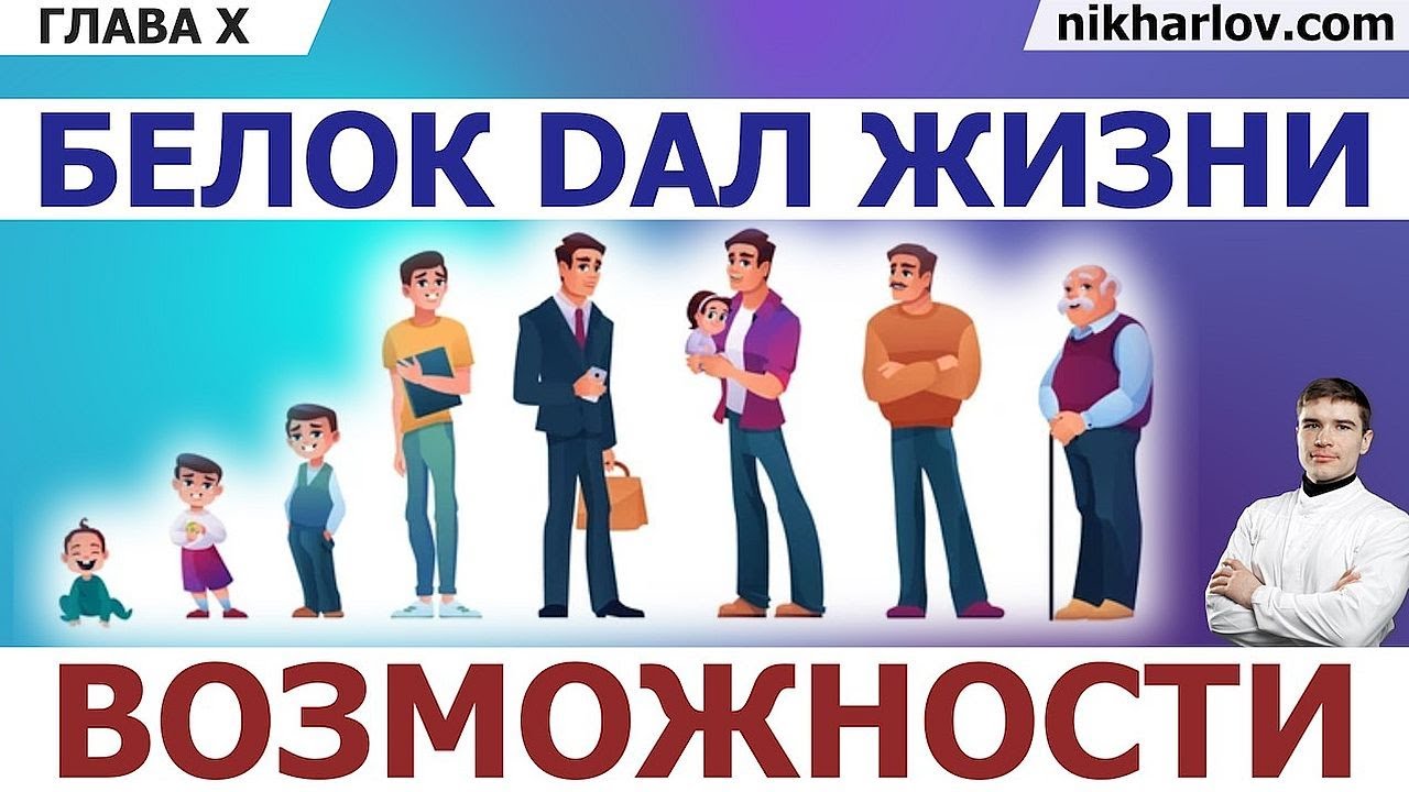 Белок, аминокислоты в обмене веществ. Окисление аминокислот для получения энергии. Мочевина крови.