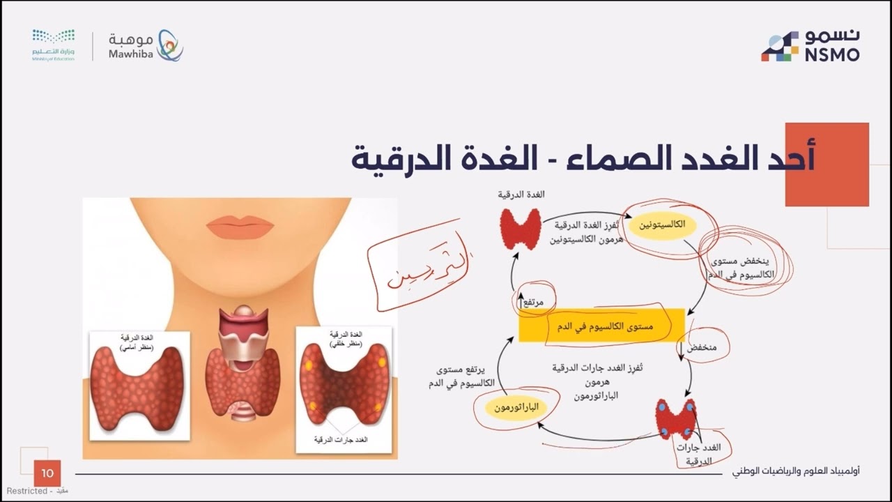 أولمبياد نسمو -تخصص الأحياء- الدرس الرابع والعشرون جهاز الغدد الصم والتكاثر