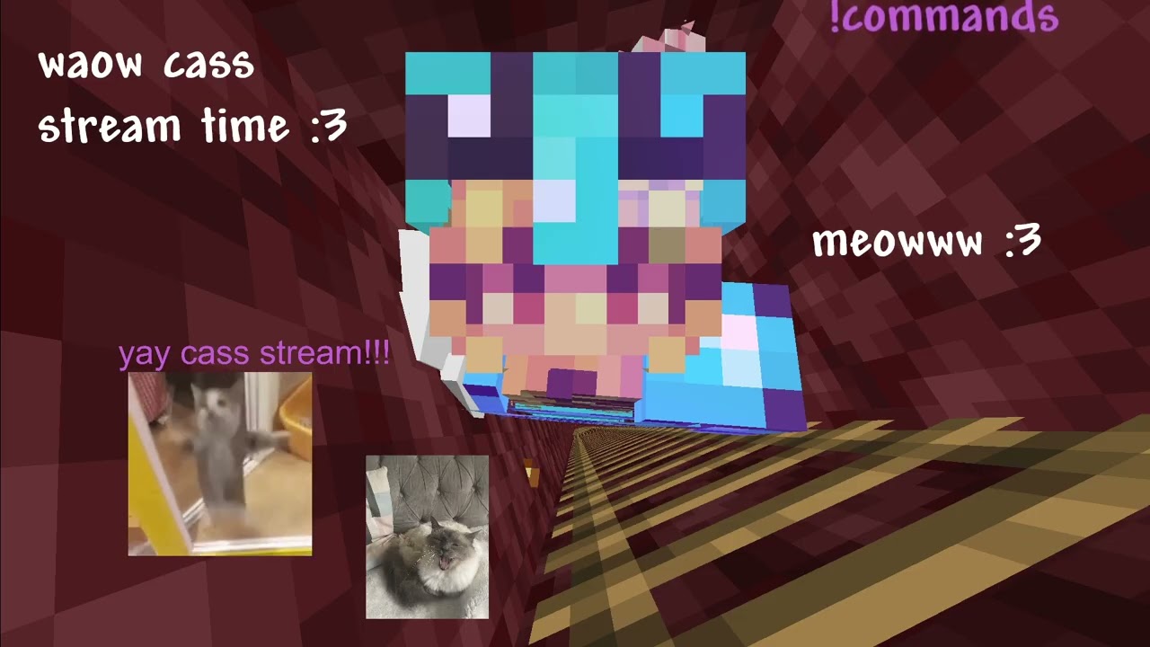 plateup time :D with @silana_13 @emcyrose @gamgamsvt