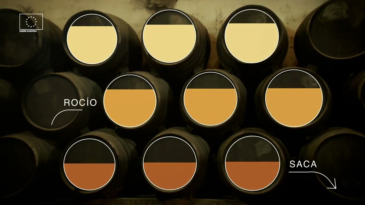 SISTEMA DE ENVEJECIMIENTO DINÁMICO DE LOS VINOS DE JEREZ DENOMINADO SISTEMA DE CRIADERAS Y SOLERA