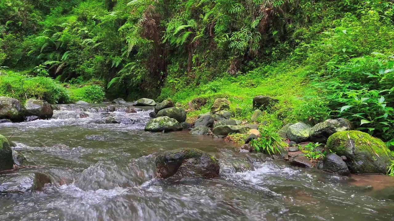 Shallow River Flow – Soothing Nature Sounds for Meditation