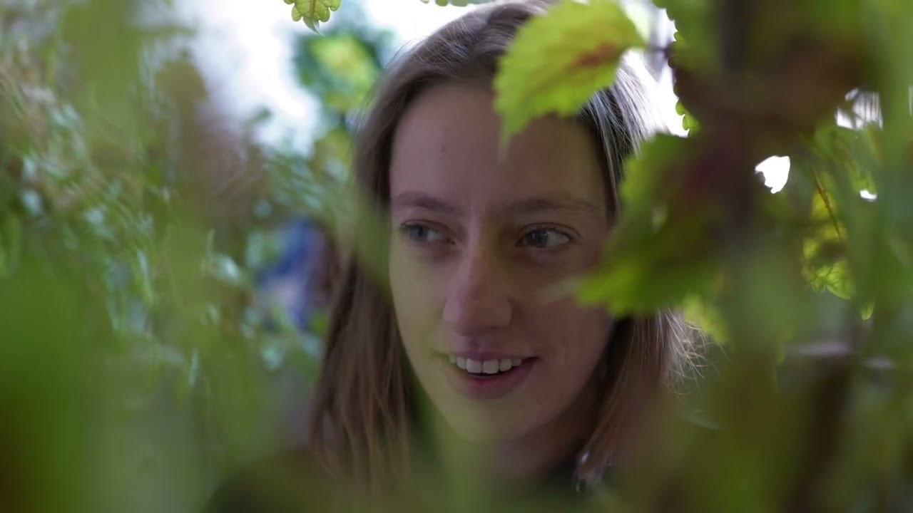 International - French, German, Luxembourgish, English - Julia Amore Ariete