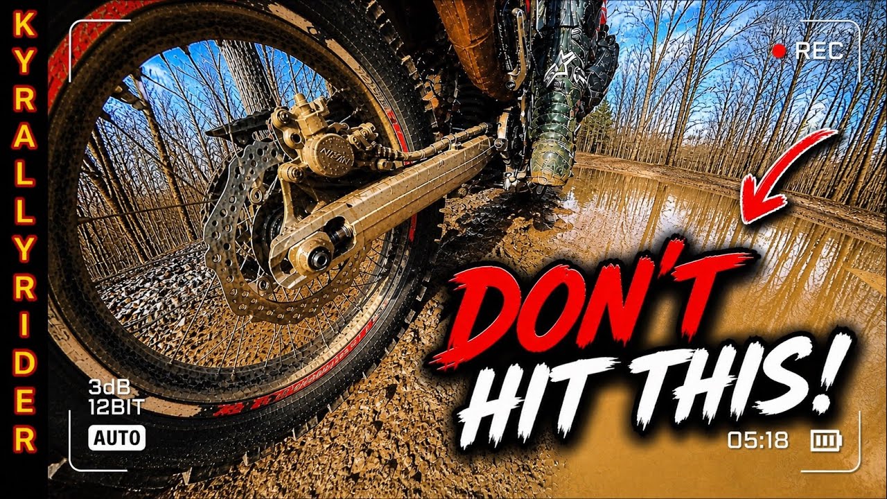 Land Between the Lakes FSR 152 & 333 - Honda CRF300L Rally