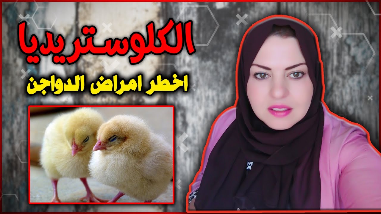 الكلوستريديا أعراضها وعلاجها وكيفيه القضاء عليها - Clostridium