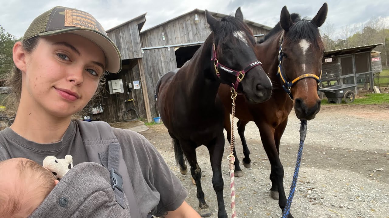BARN VLOG: Lameness + Colt Starting 😵&zwj;💫