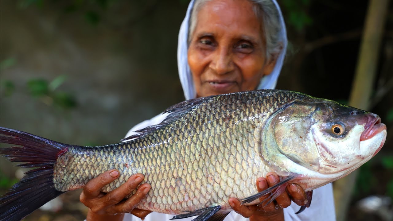 Katol Macher Recipe | Grandma's Special Katla Fish Curry purely Village Style Cooking | villfood