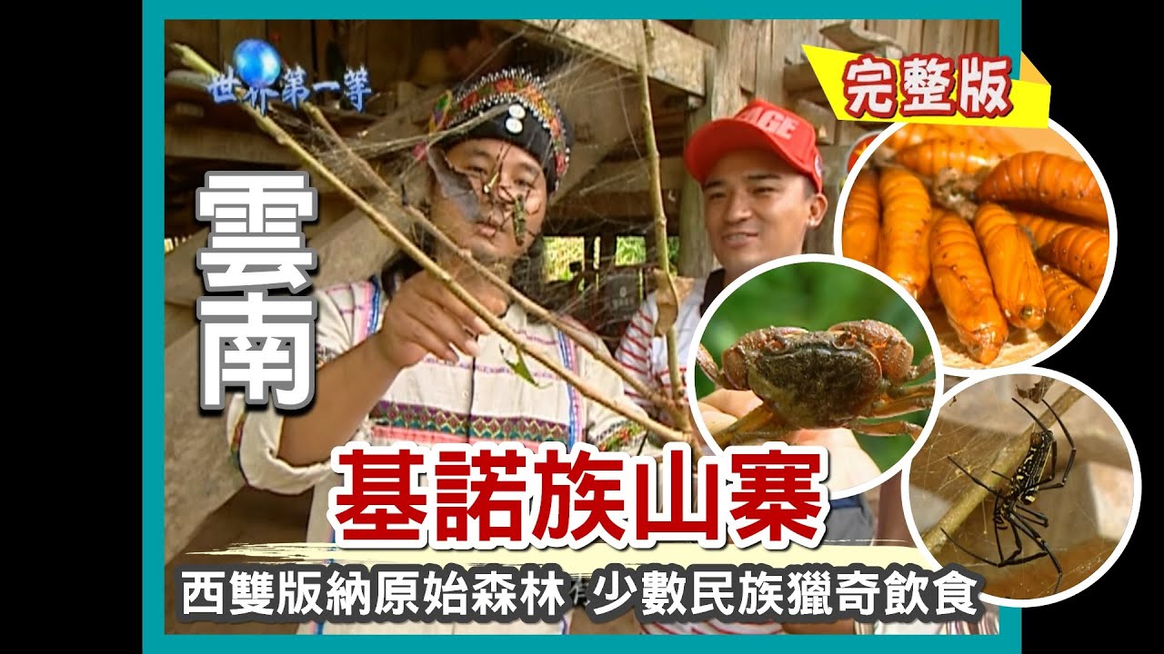 【雲南】少數民族基諾族 西雙版納原始熱帶森林文化（山谷大土蟹／竹蟲巢穴／碳烤蜘蛛／生吃紅火蟻／吃光陰土／大理乳扇、漾濞捲）｜《世界第一等》377集小馬完整版