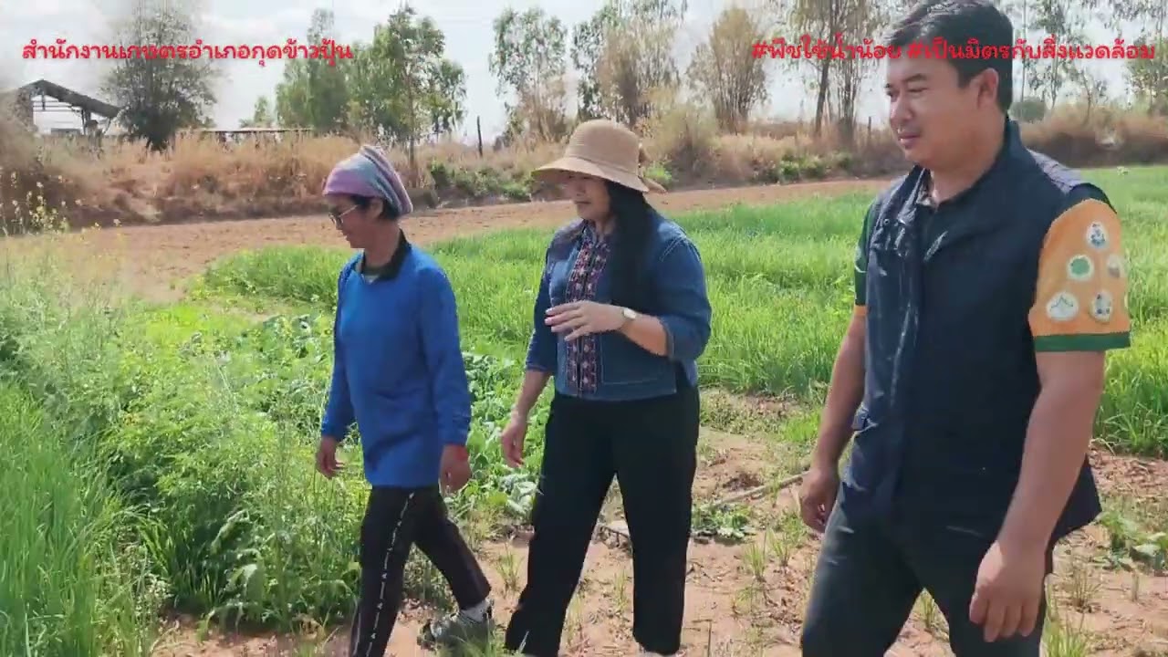 #หอมแดง  #เกษตรกร #อุบลราชธานี #เกษตรกรรุ่นใหม่ #กรมส่งเสริมการเกษตร #farming #เกษตรอำเภอกุดข้าวปุ้น