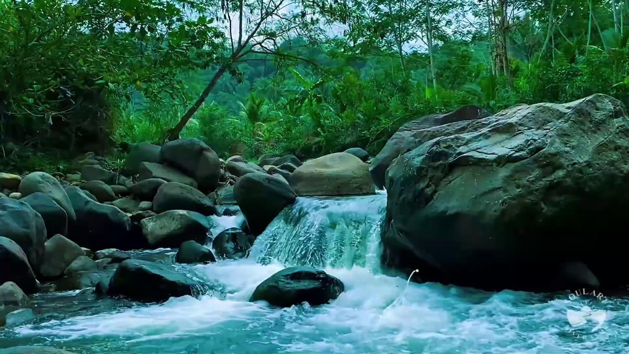 River Sounds for Sleeping Better | Calm Flowing River Water Sounds
