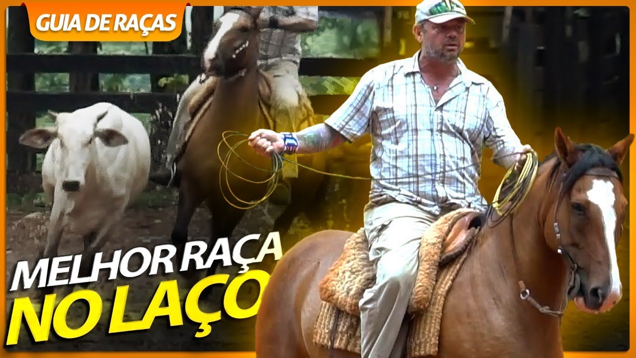CAVALO CRIOULO É O MELHOR NO LAÇO COMPRIDO? | RICHARD RASMUSSEN