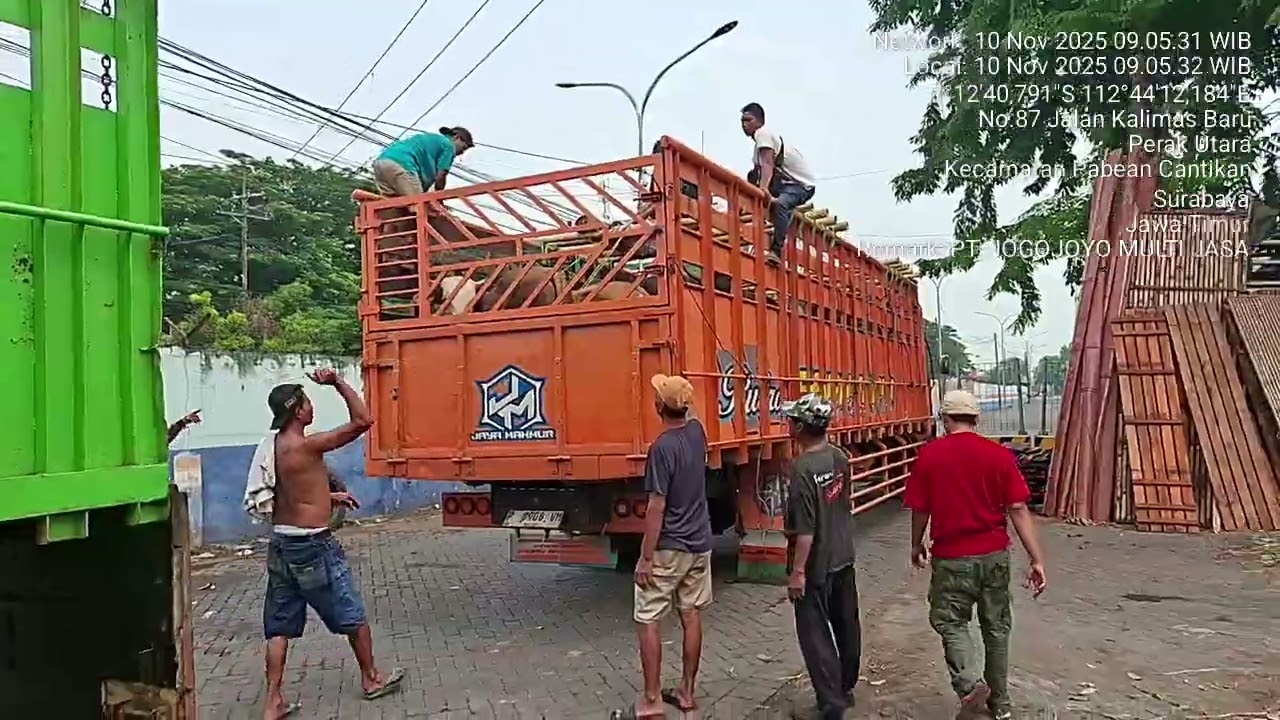 Salin fuso di kandang BALAI KARANTINA HEWAN,IKAN DAN TUMBUHAN JAWA TIMUR. TANJUNG PERAK SURABAYA.