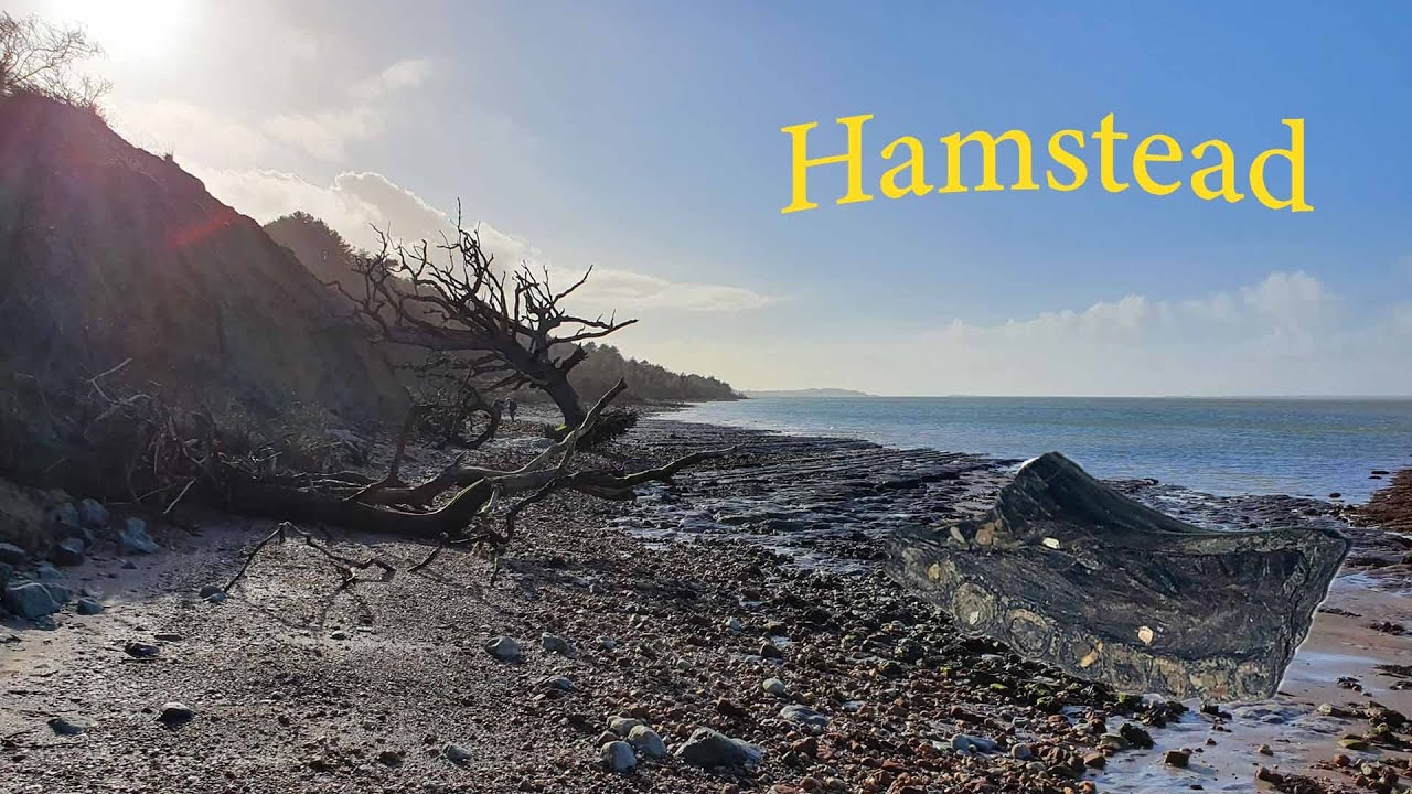 Fossil Hunting at Hamstead, Isle of Wight