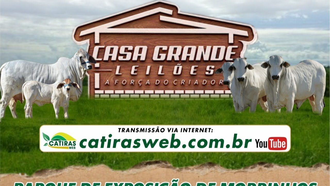 LEILÃO AO VIVO CASA GRANDE LEILÕES - MORRINHOS - GO - 21 DE J ULHO DE 2022.