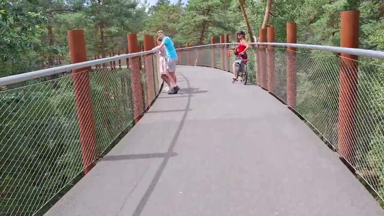 Fietsen door de Bomen.