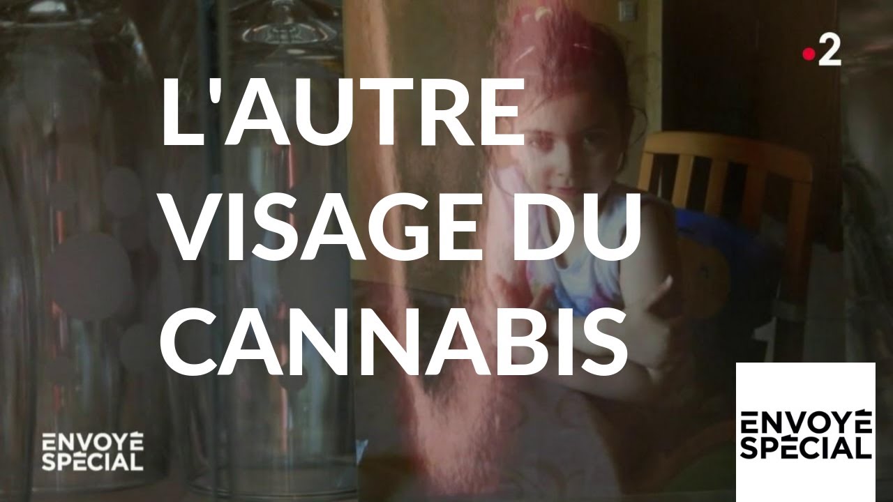 Envoyé spécial. L'autre visage du cannabis - 28 février 2019 (France 2)
