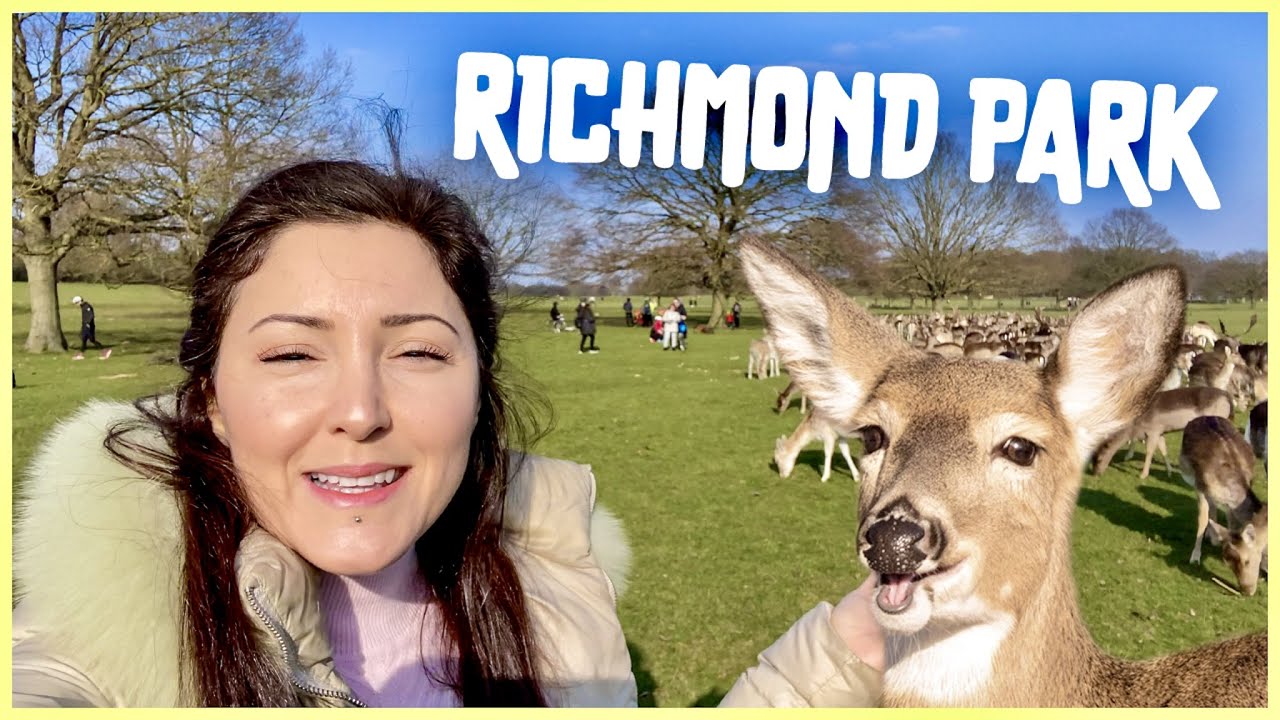 GEYİKLERİ G&Ouml;RMEYE GİTTİM (Drone U&ccedil;urdum!, Richmond Park'ı Benimle Gezin, Vlog, London, England, 4K)