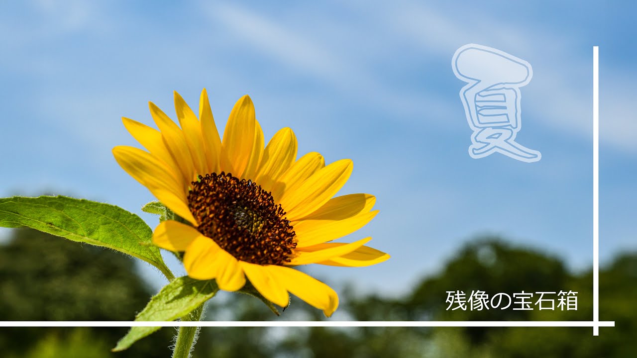 【季節は一瞬の夢～残像の宝石箱】癒される季節の動画。今回は「春バージョン」過ぎ去った季節の記憶。