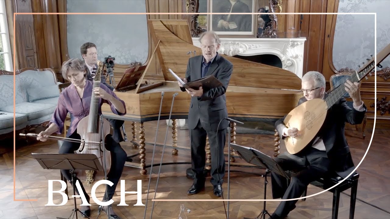 Bach - Dir, dir Jehova, will ich singen BWV 299 - Daniels | Netherlands Bach Society