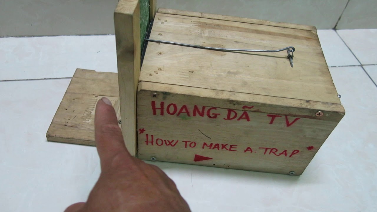 Bẫy chuột bằng gỗ kiểu cửa sập (Wooden cage mouse trap)