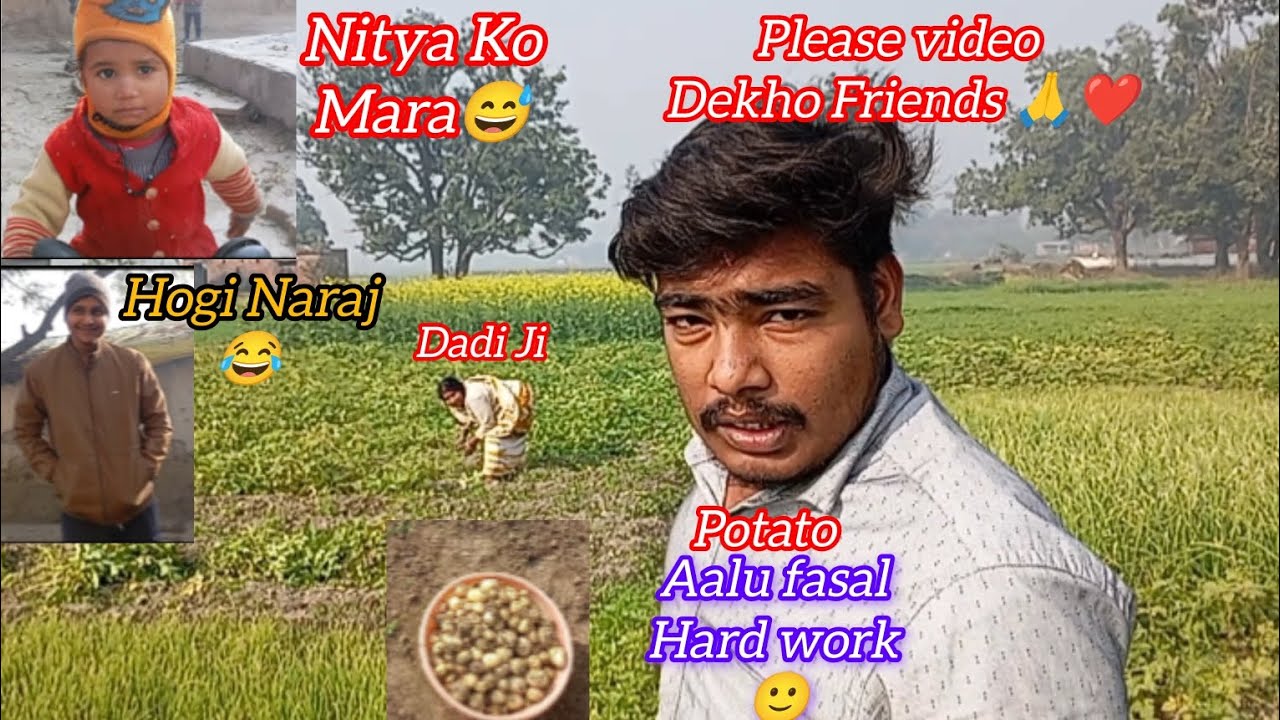 Patato 🥔 Ka Fasal Hard Work.  Nitya Naraj Hogi 😂 First Bar Dadi Ji Ke samne vlog 😅