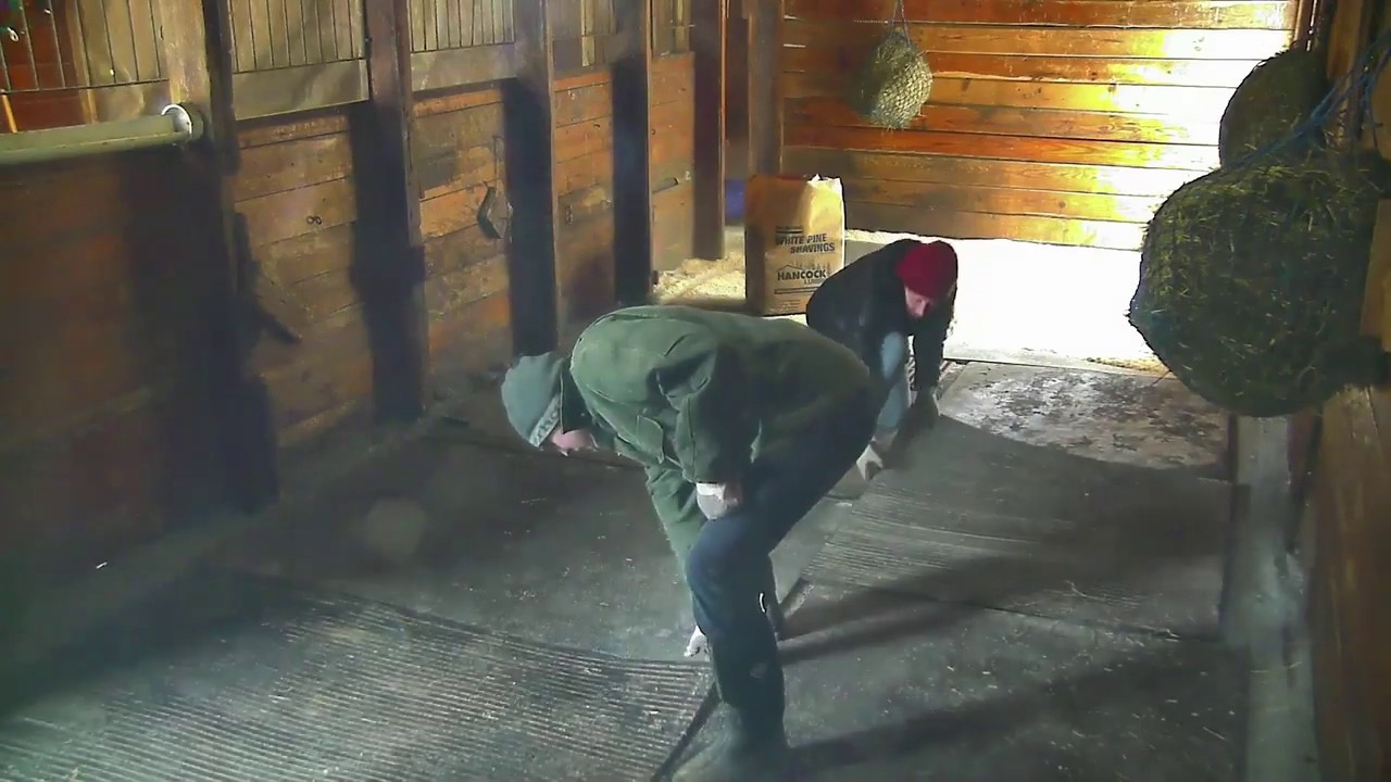 Donkey Barn floor 12 inch higher by Stone Dust. Feb. 11 and 12 2019