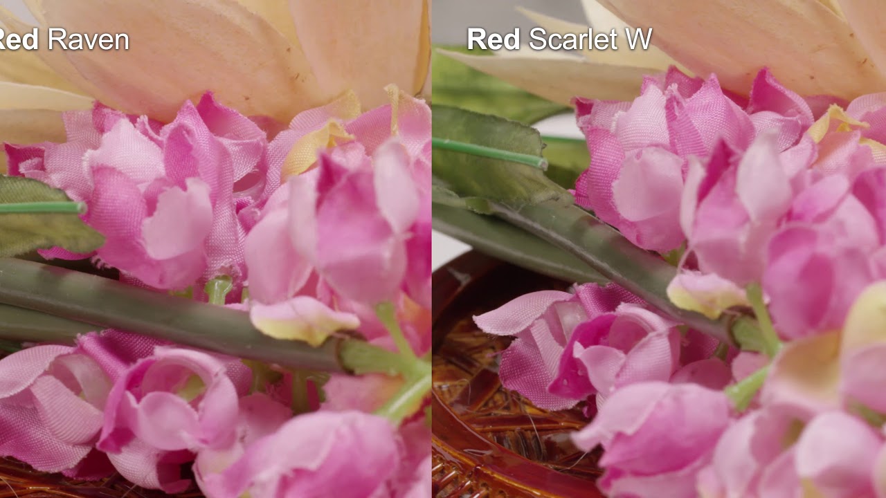RED Raven 4.5K vs RED Scarlet W 5K with Canon 100mm Macro lens