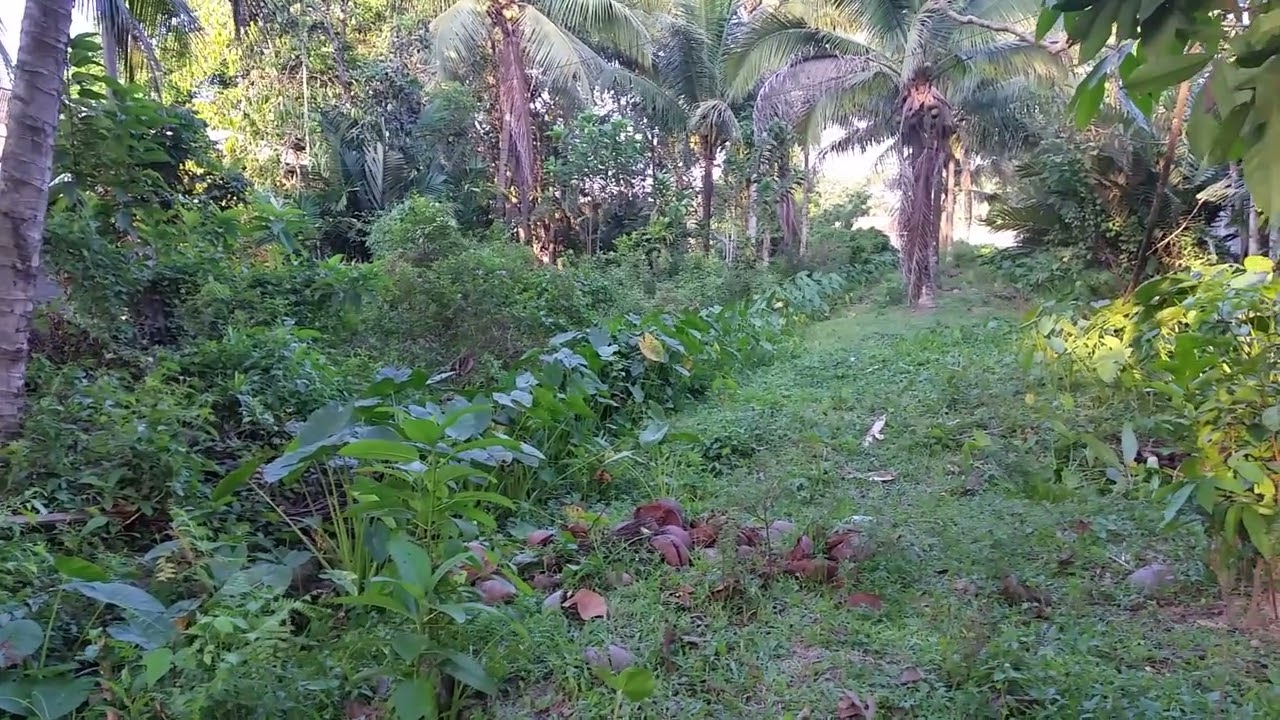 20150506 Kebun Danan