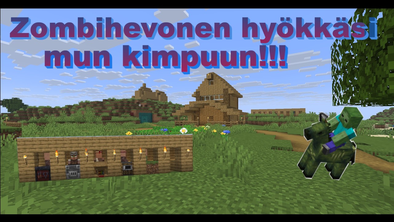 Minecraft survival #11