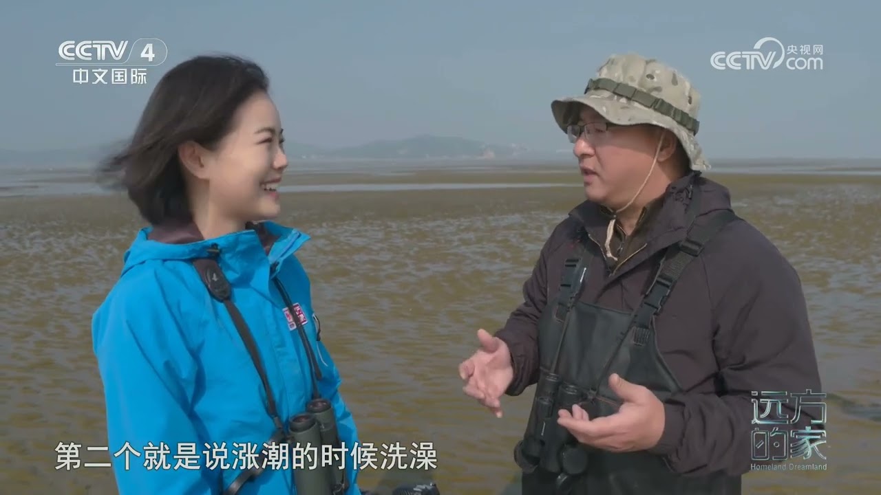[远方的家]云端精灵 自然欢歌 闽江口湿地看飞鸟翔集 | 中华地图