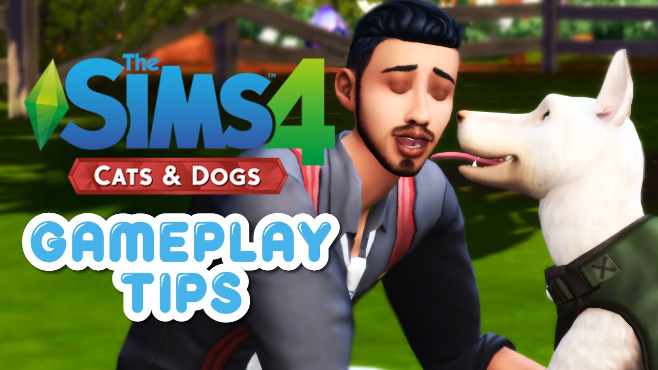 HOW TO MAKE CATS & DOGS MORE FUN! 🐱🐶 | Gameplay  + Mod Ideas For The Sims 4: Cats & Dogs