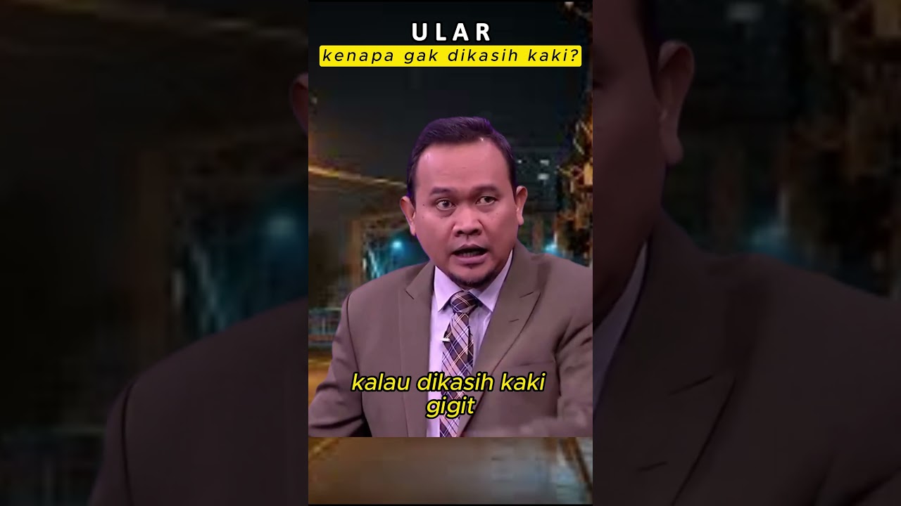 Ular | #shorts #netmediatama